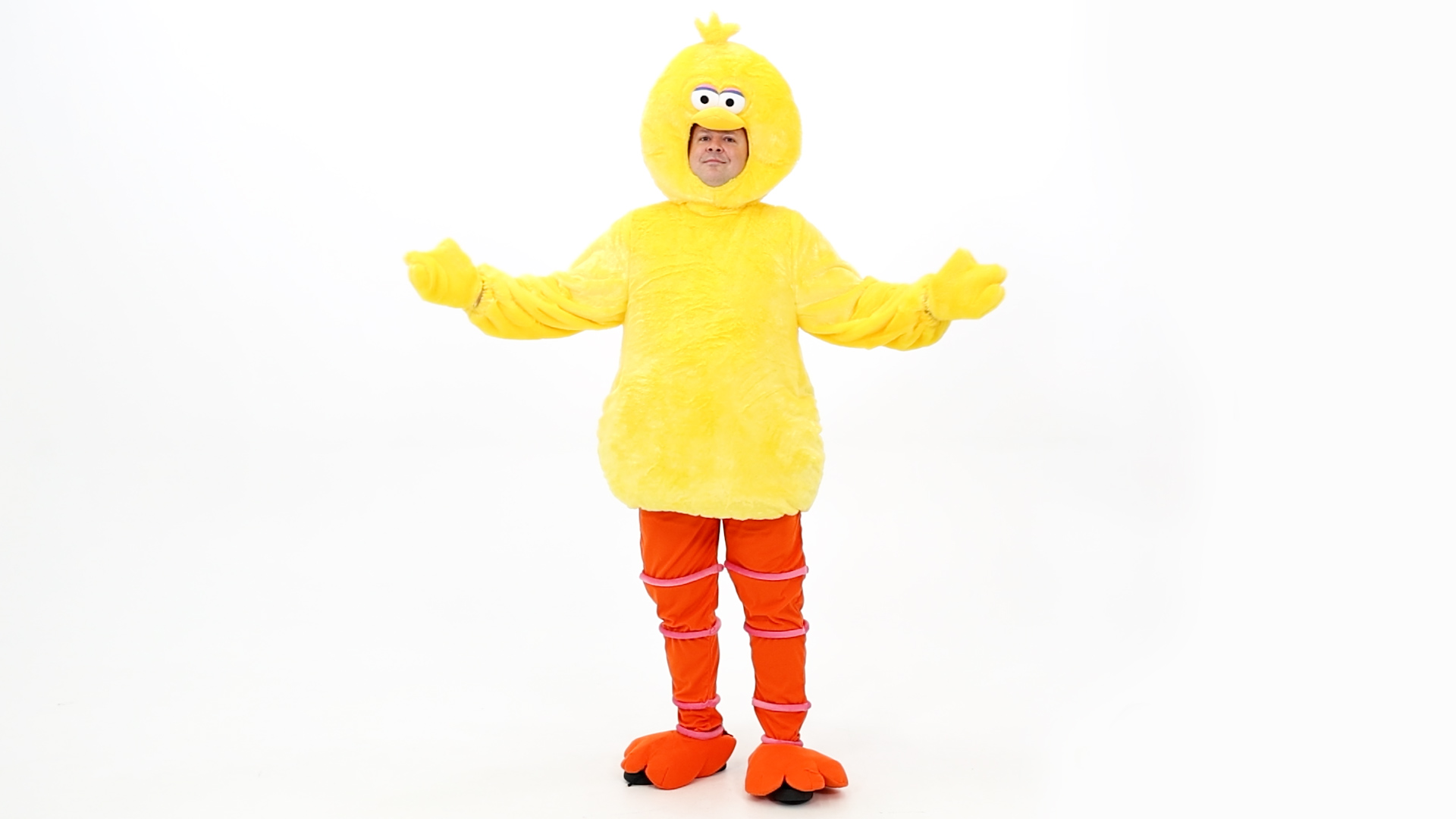 FUN2561PL Plus Size Sesame Street Big Bird Adult Costume